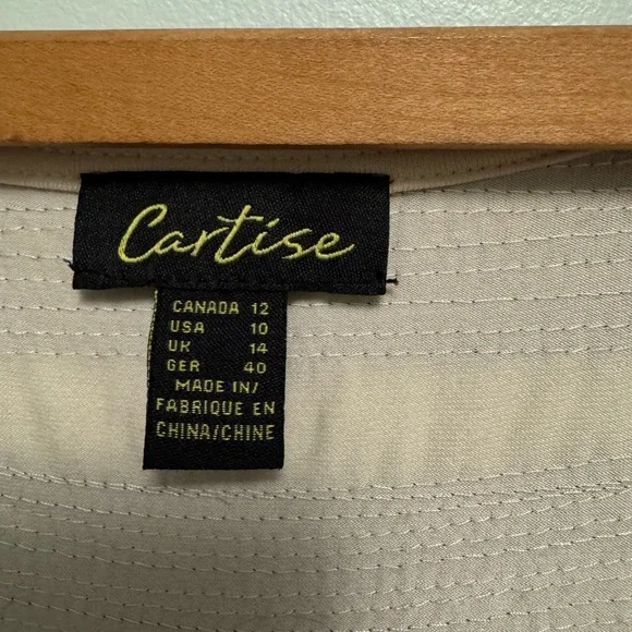 Cartise Chic Black and Cream Striped Mini Dress - Picture 6 of 6